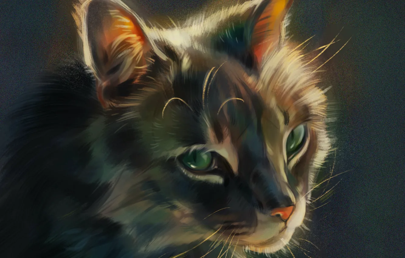Фото обои мордочка, зеленые глаза, серая кошка, by Pixxus