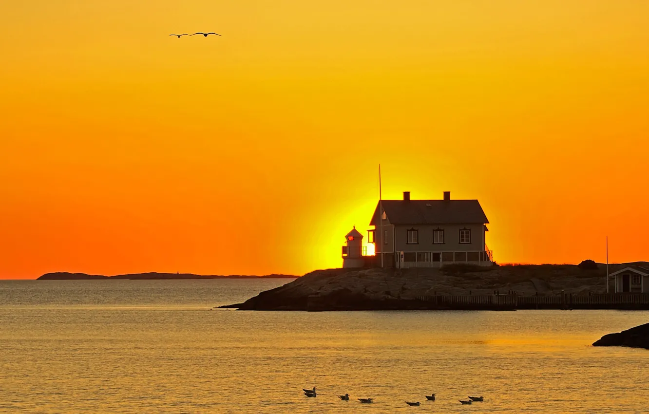 Фото обои закат, птицы, дом, остров, зарево, Швеция, Балтийское море, Готланд