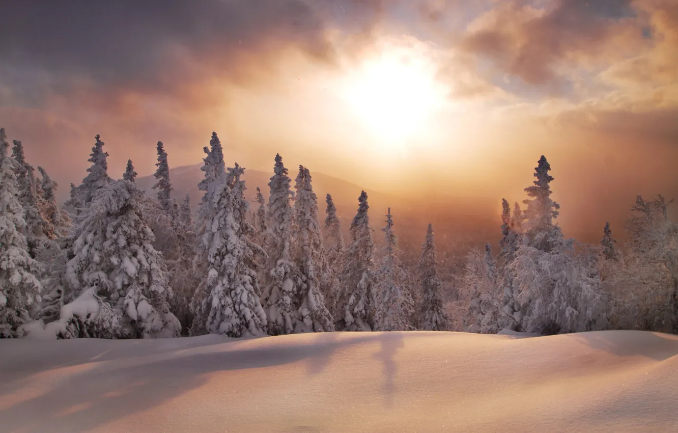 Фото обои зима, лес, снег, закат, ели, сугробы, Россия, Южный Урал