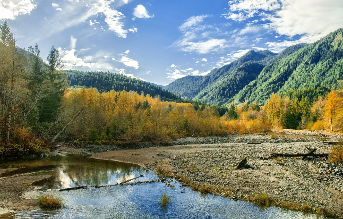 Фото обои осень, лес, небо, горы, ручей