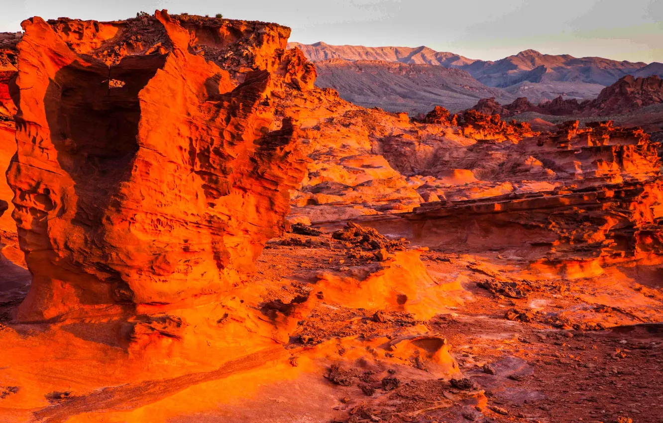 Фото обои скалы, пустыня, зарево, США, Невада, Gold Butte