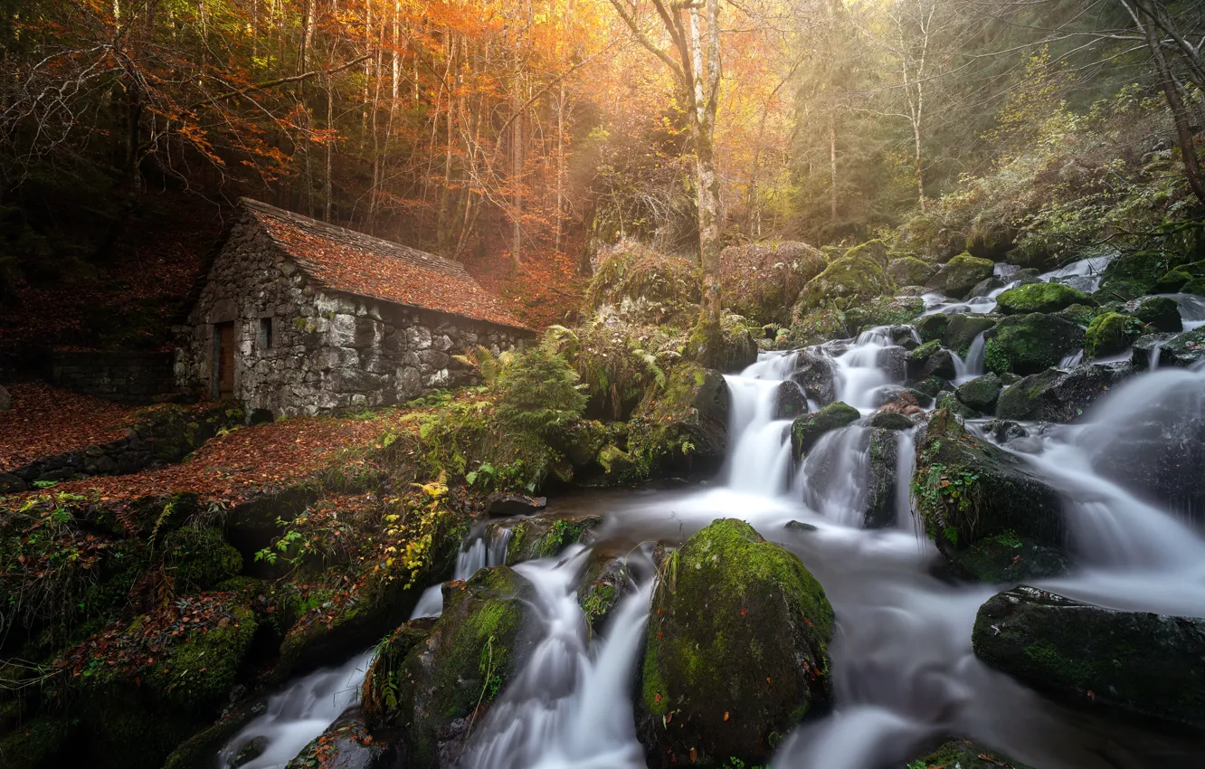 Фото обои осень, лес, дом, река, Франция, водопад, каскад, водяная мельница