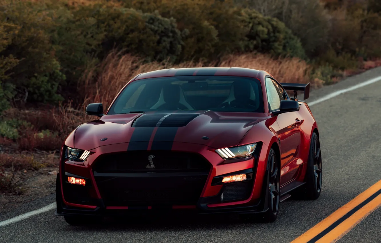 Фото обои растительность, Mustang, Ford, Shelby, GT500, кровавый, 2019