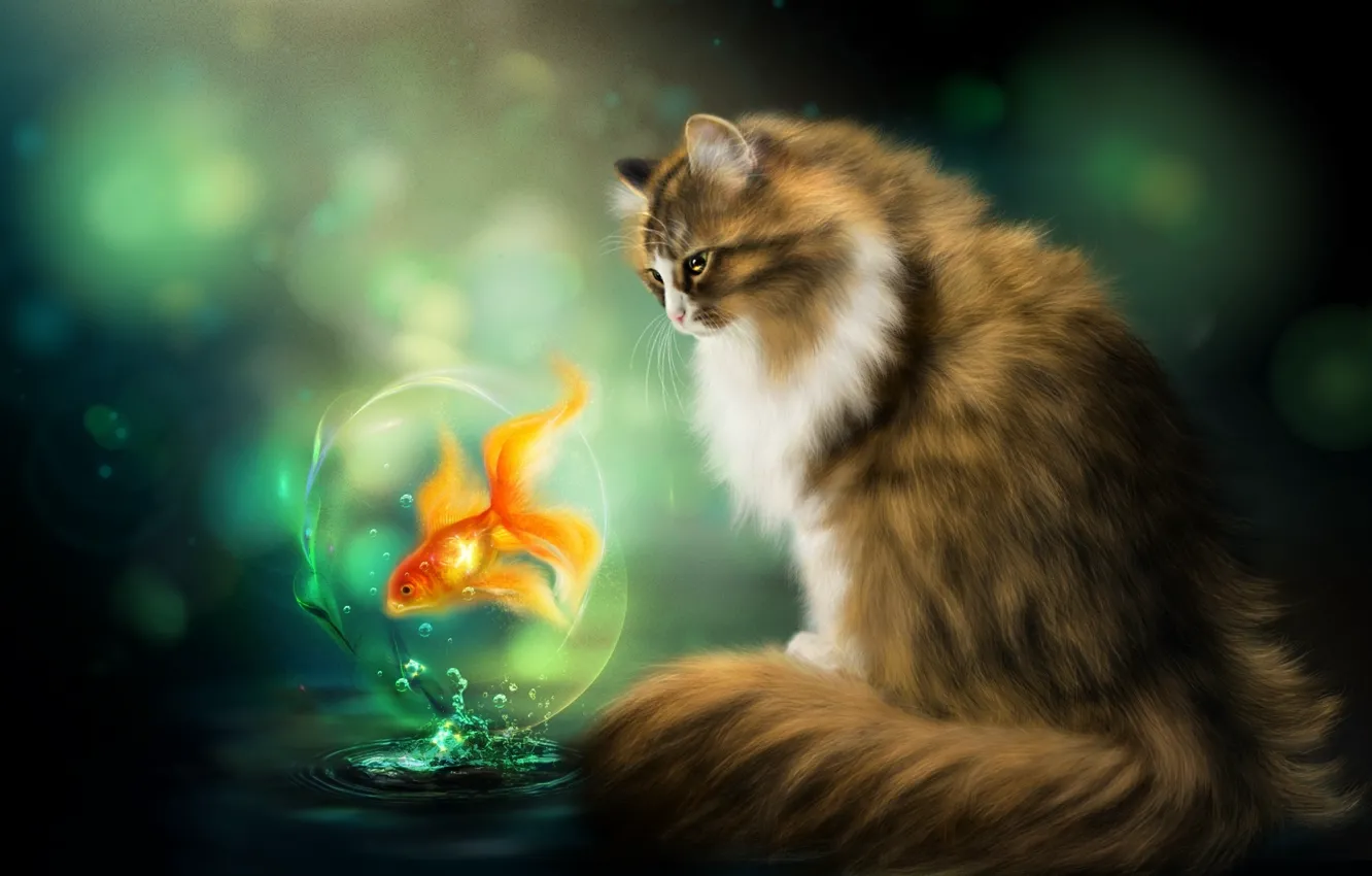 Фото обои кот, золотая рыбка, Photoshop, cat, fish, Нelena
