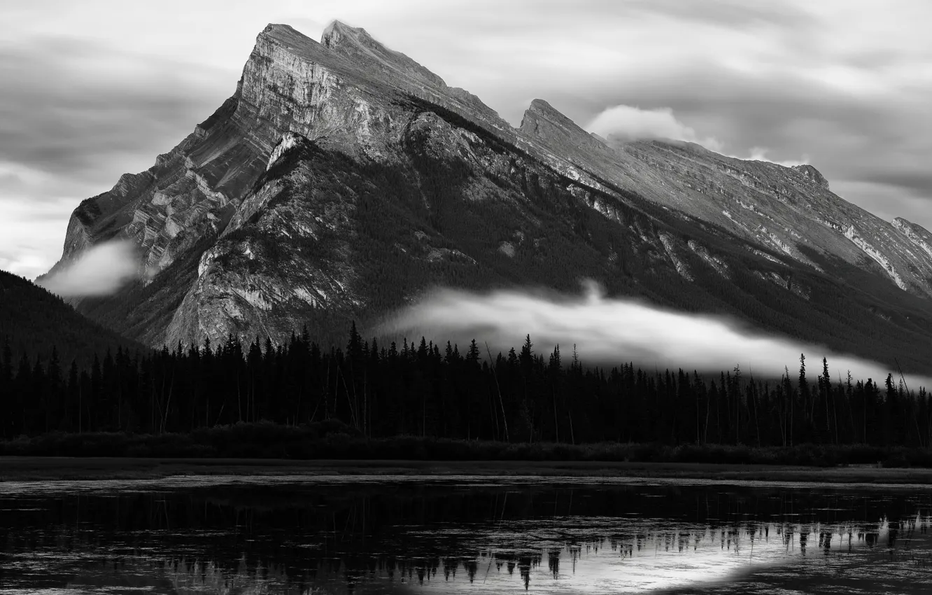 Фото обои деревья, горы, природа, река, скалы, Канада, черно-белое, монохром