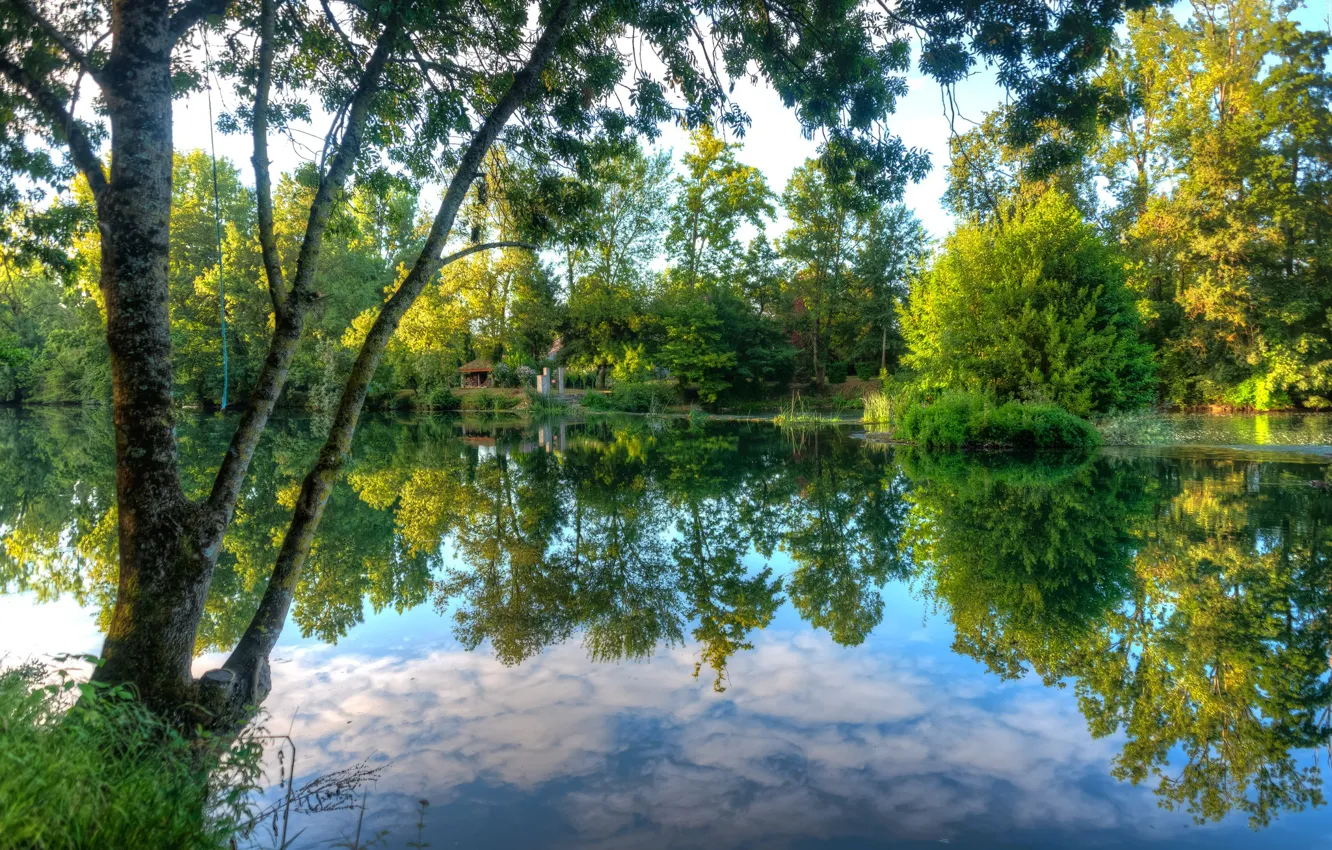 Фото обои Отражение, Озеро, Деревья
