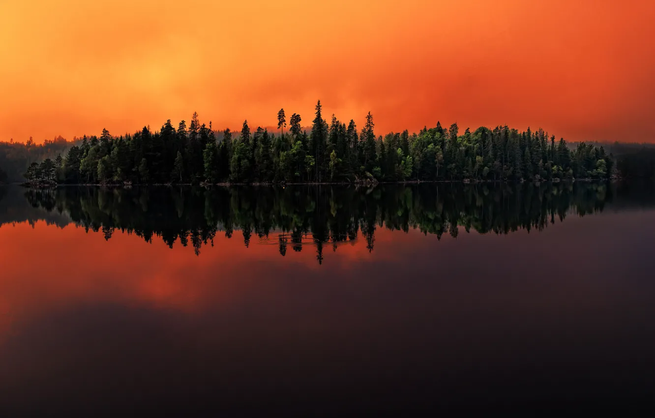 Фото обои лес, озеро, отражение, Швеция, Sweden