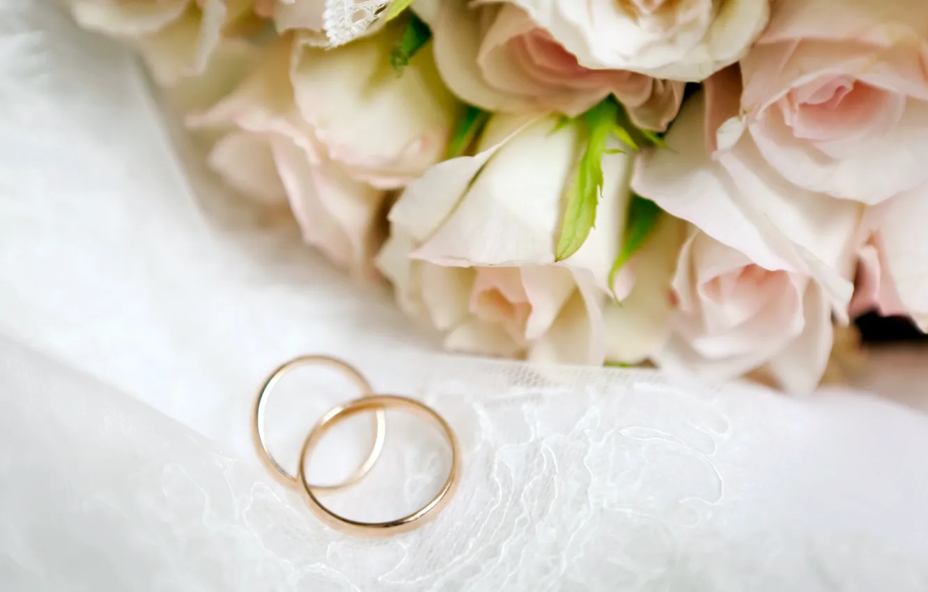 Фото обои цветы, розы, flowers, обручальные кольца, roses, wedding rings