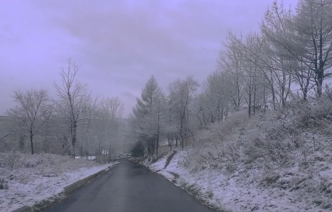 Фото обои дорога, снег, природа, город
