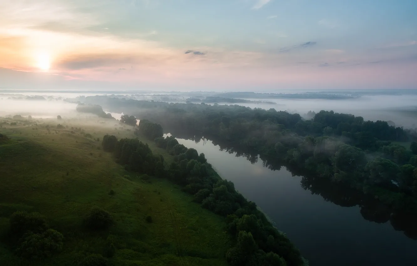 Фото обои лес, туман, река, рассвет, берег, утро