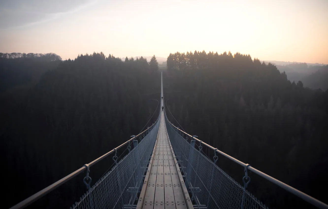 Фото обои лес, небо, природа, туман, рассвет, высота, горизонт, forest