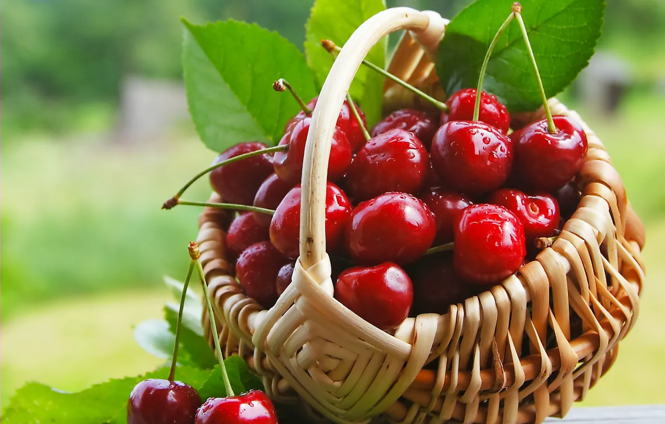 Фото обои вишня, ягоды, корзинка, fresh, черешня, sweet, cherry, berries