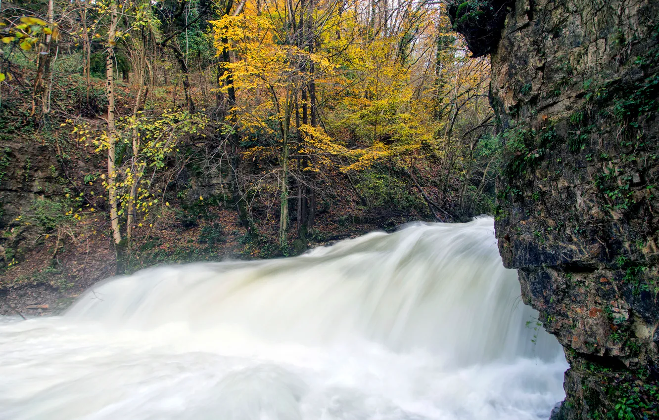 Фото обои осень, деревья, река, скалы, поток