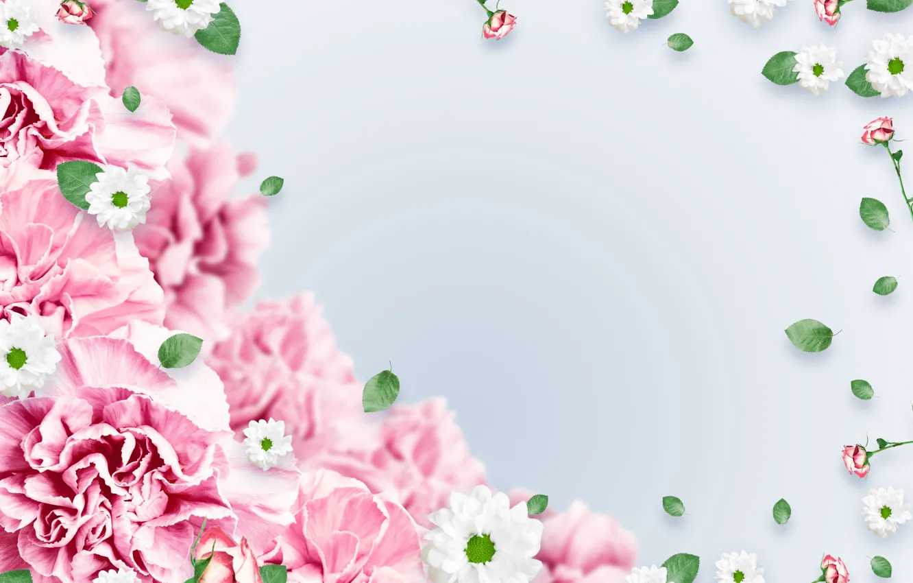 Фото обои цветы, фон, розовые, листочки
