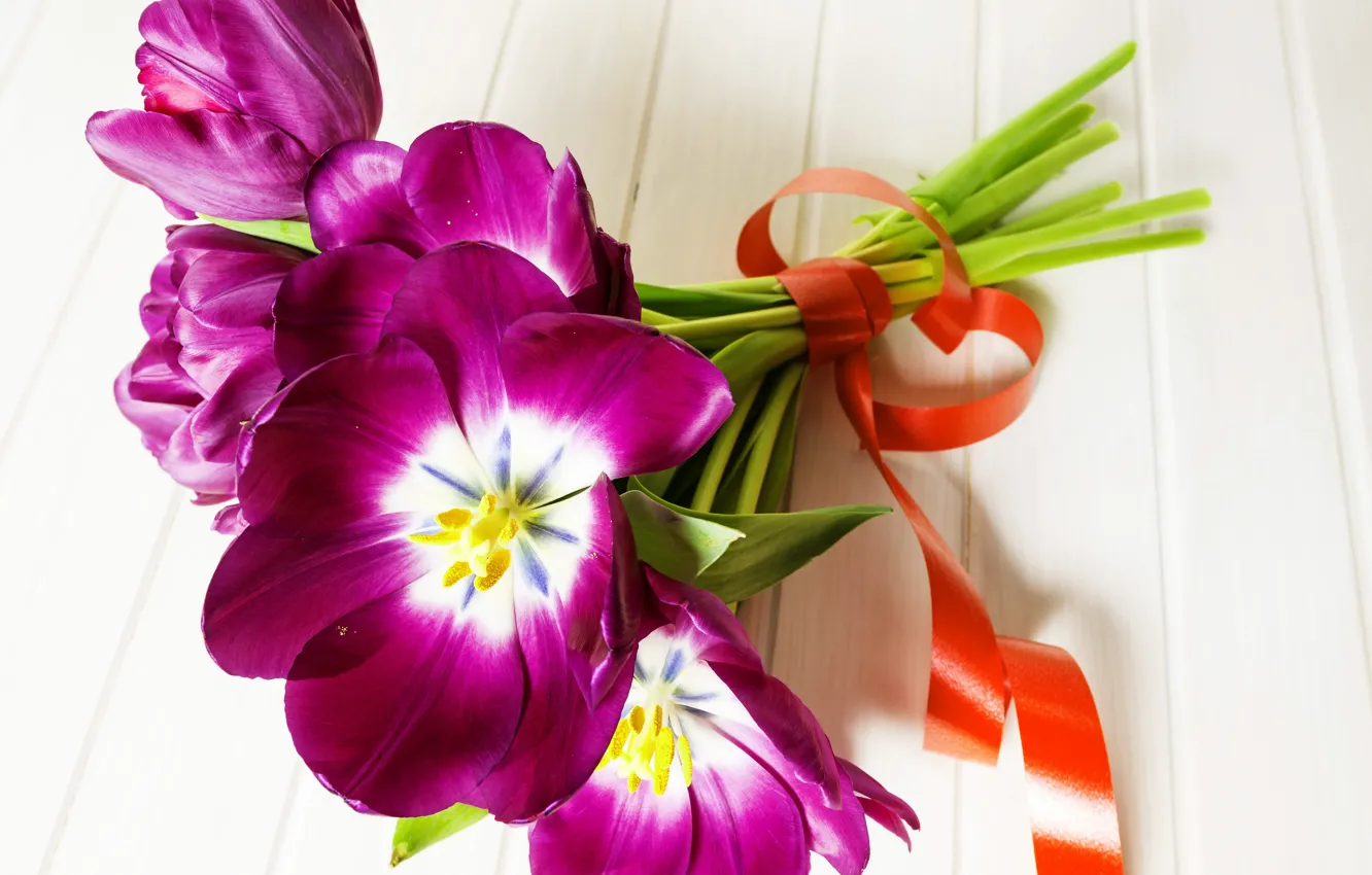 Фото обои цветы, букет, лента, тюльпаны, tulips, purple