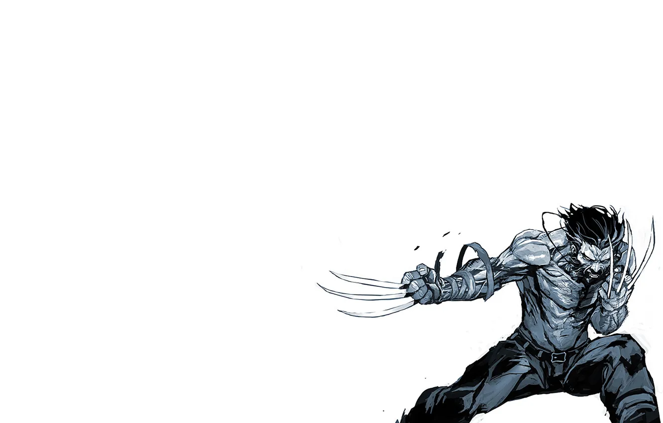 Фото обои рисунок, минимализм, когти, белый фон, черно-белое, Росомаха, Логан, Wolverine