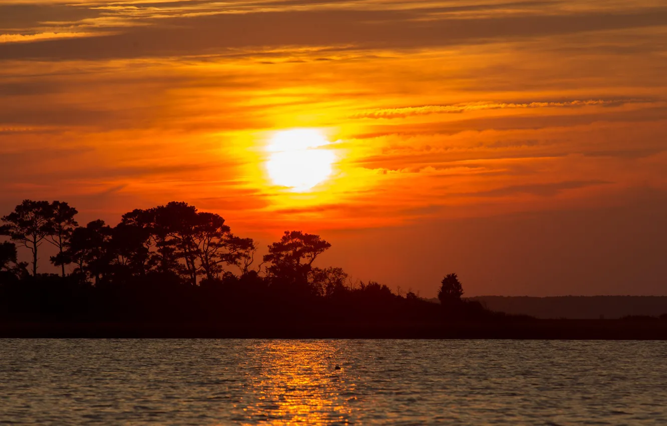 Фото обои twilight, trees, sunset, water, lake, dusk, silhouettes