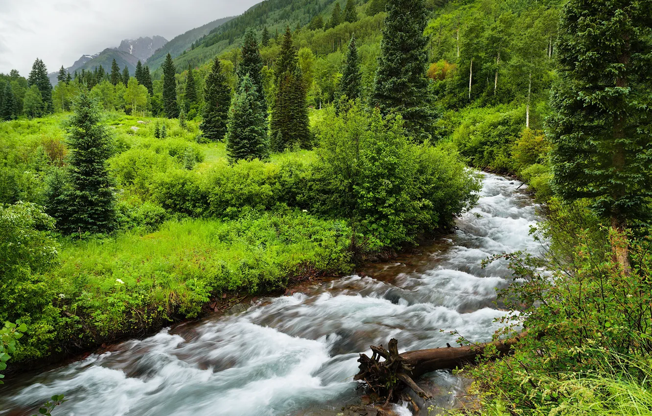 Фото обои USA, Rocky Mountains, Lush Valley