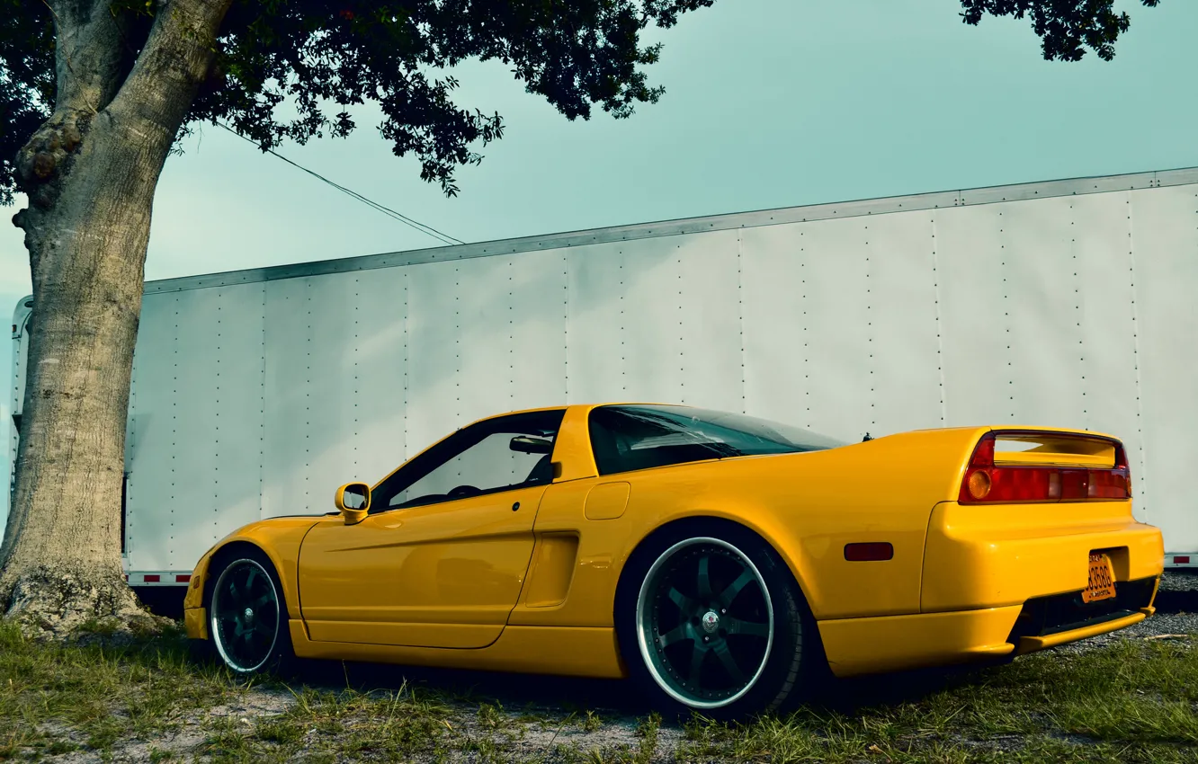 Фото обои Grass, Tree, Yellow, Back, Acura, NSX