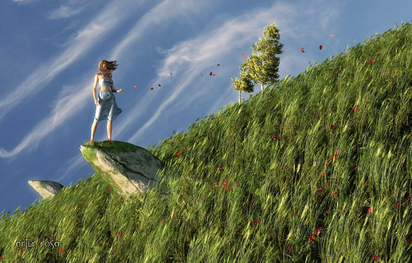 Фото обои трава, девушка, природа, скала, ветер, камень, маки, лепестки