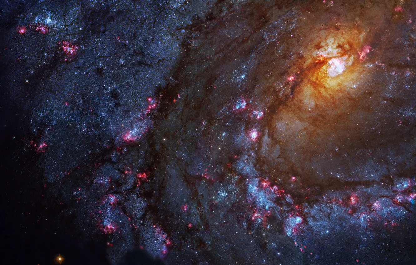Фото обои созвездие, спиральная галактика, M83, Гидра