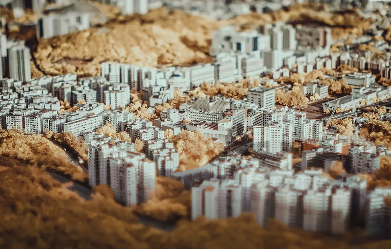 Фото обои осень, город, дома, небоскребы, улицы, тилт шифт, район, Tilt shift