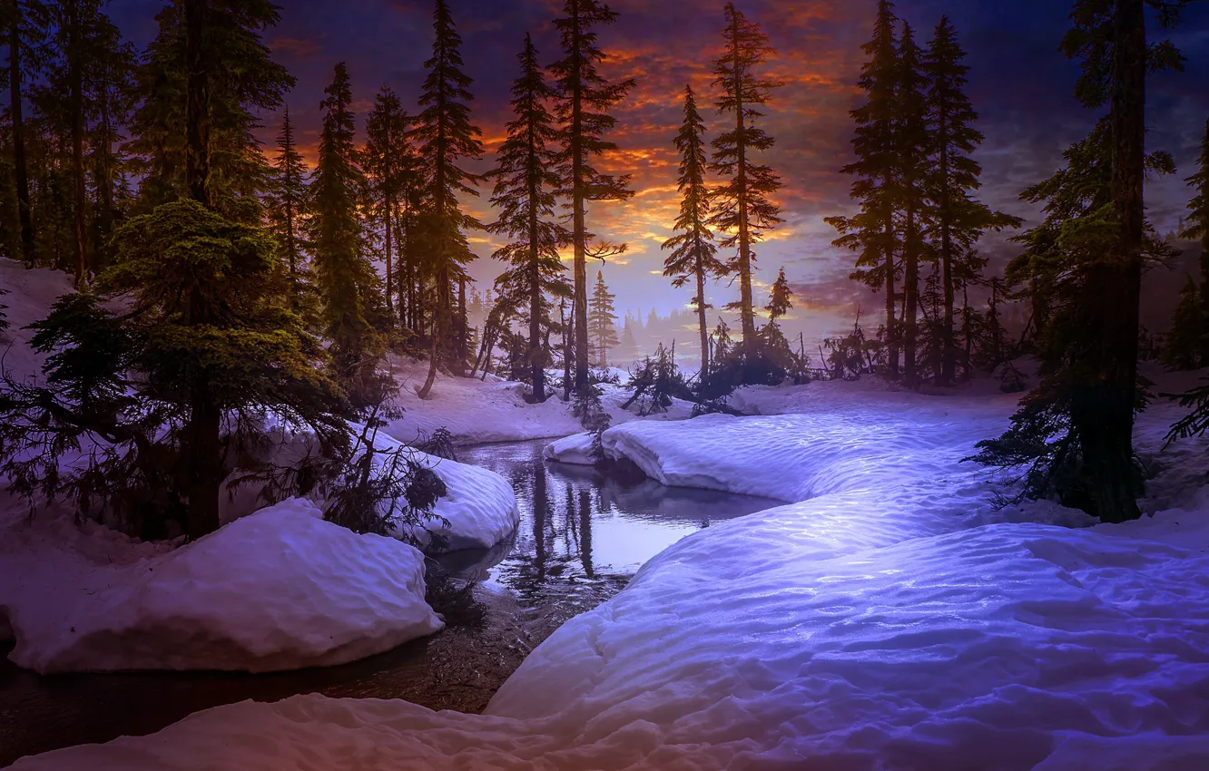 Фото обои зима, лес, деревья, закат, река