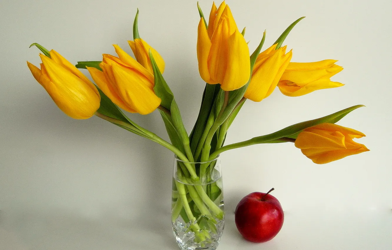 Фото обои яблоко, тюльпаны, ваза, натюрморт