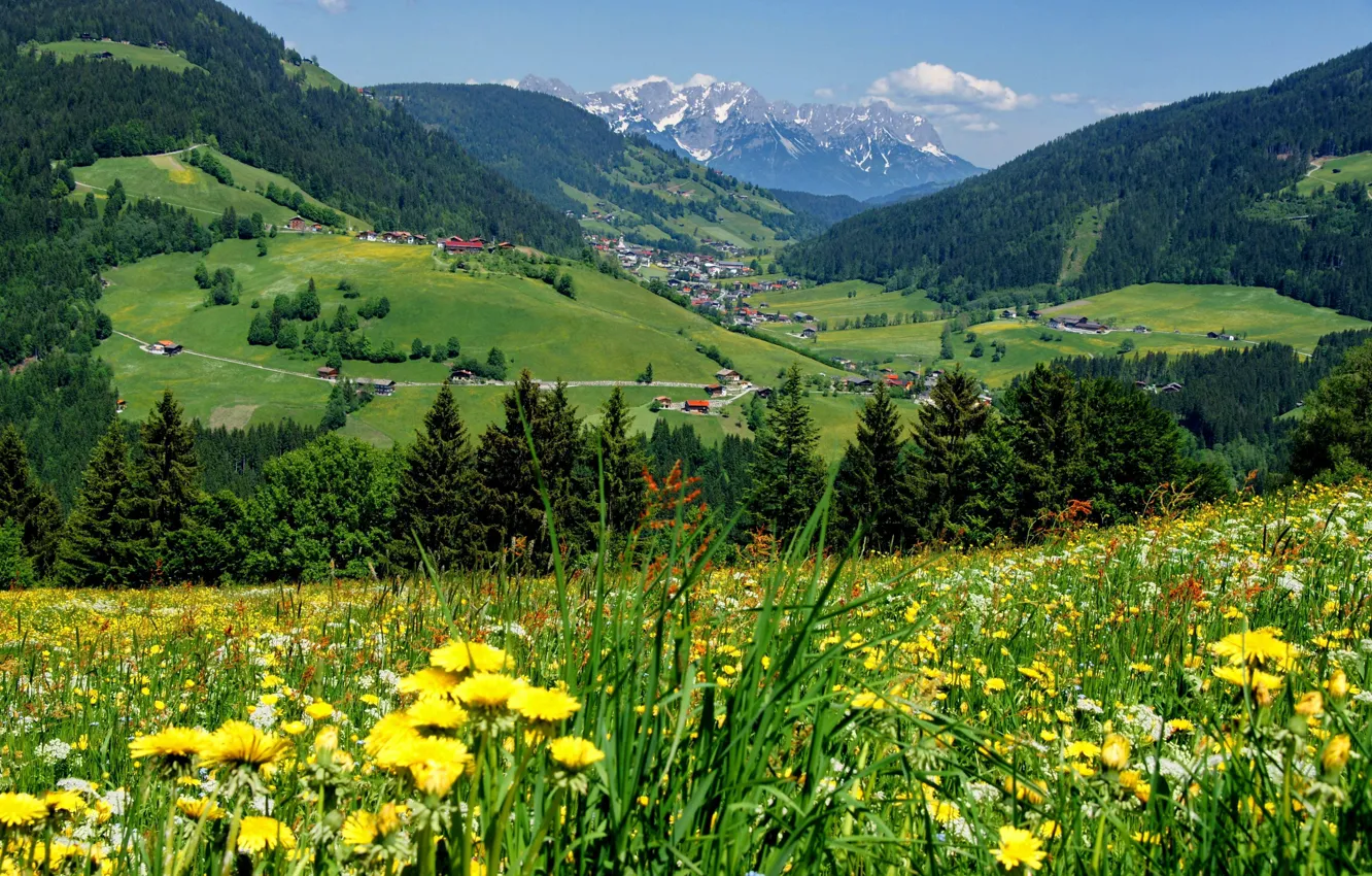 Фото обои Цветы, Небо, Природа, Дома, Горы, Трава, Деревья, Австрия