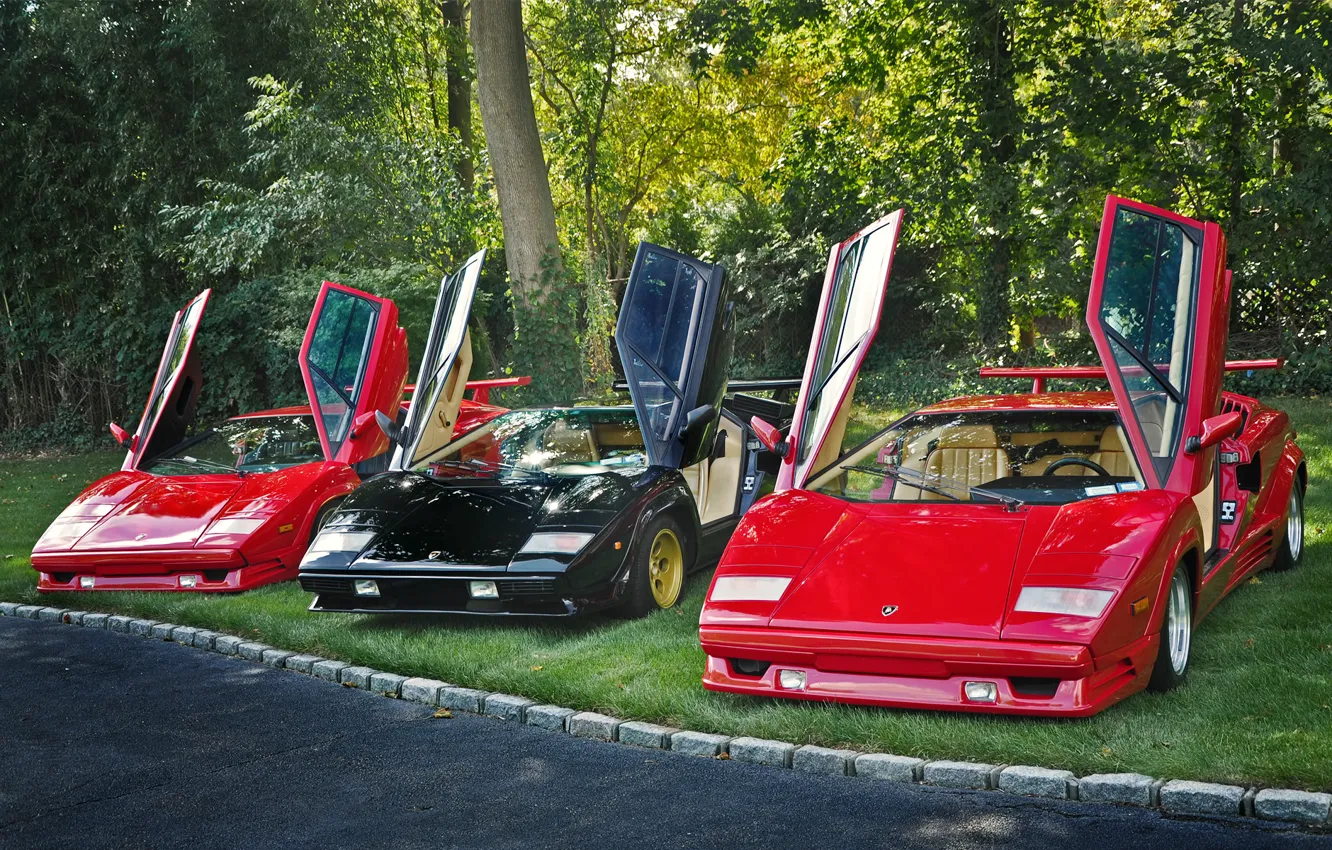 Фото обои Lamborghini, двери, трио, открытые, Countachs