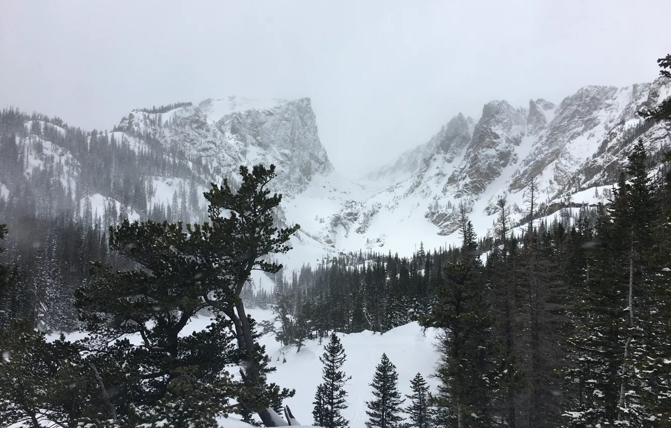 Фото обои зима, небо, снег, деревья, горы, природа, скалы, United States