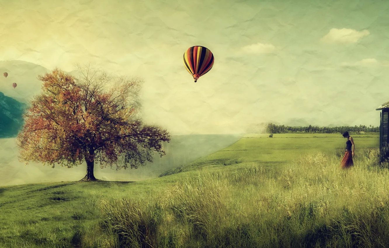 Фото обои поле, девушка, воздушный шар, дерево, шар