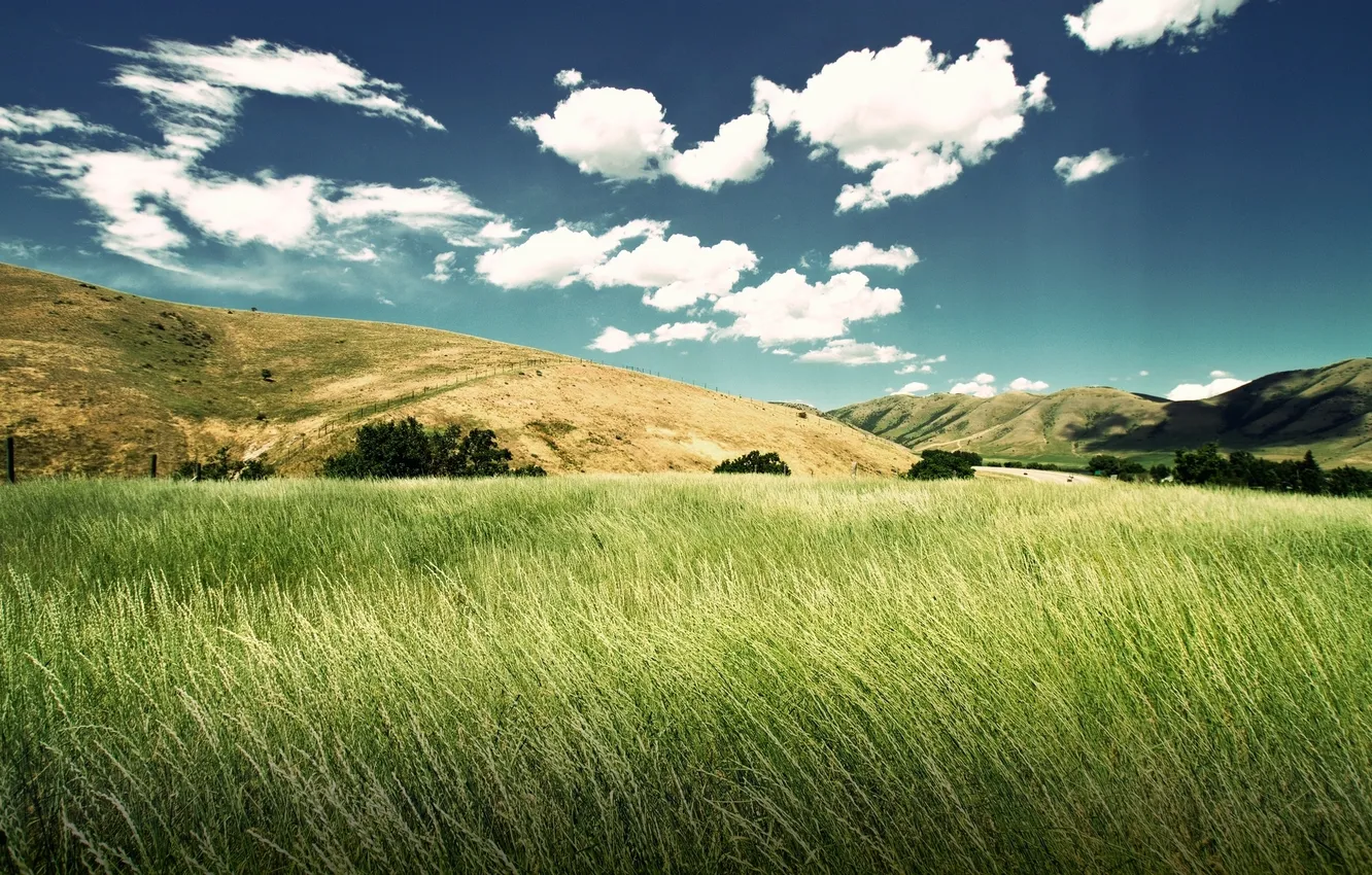 Фото обои небо, трава, облака, пейзаж, холмы, луг, колосья