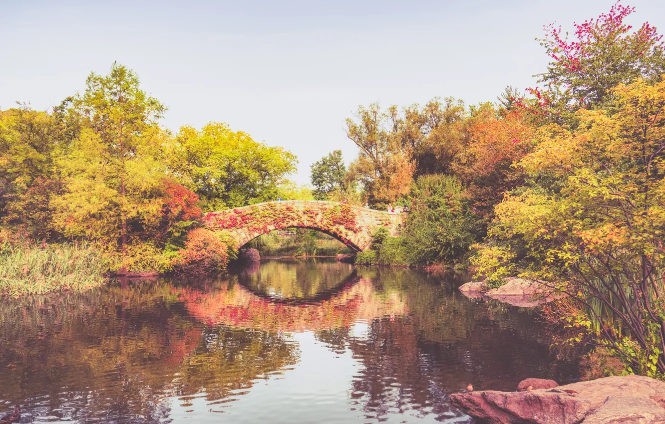 Фото обои осень, листья, деревья, озеро, отражение, люди, Нью-Йорк, зеркало