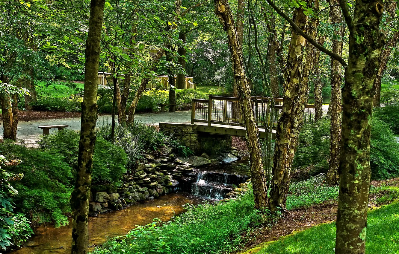 Фото обои природа, парк, река, фото, США, ствол дерева, Ground Gibbs Gardens