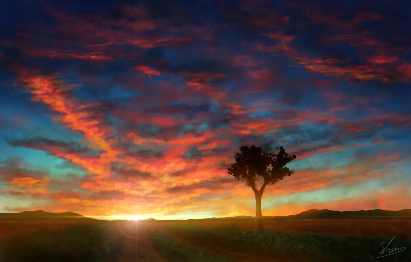 Фото обои небо, закат, природа, дерево