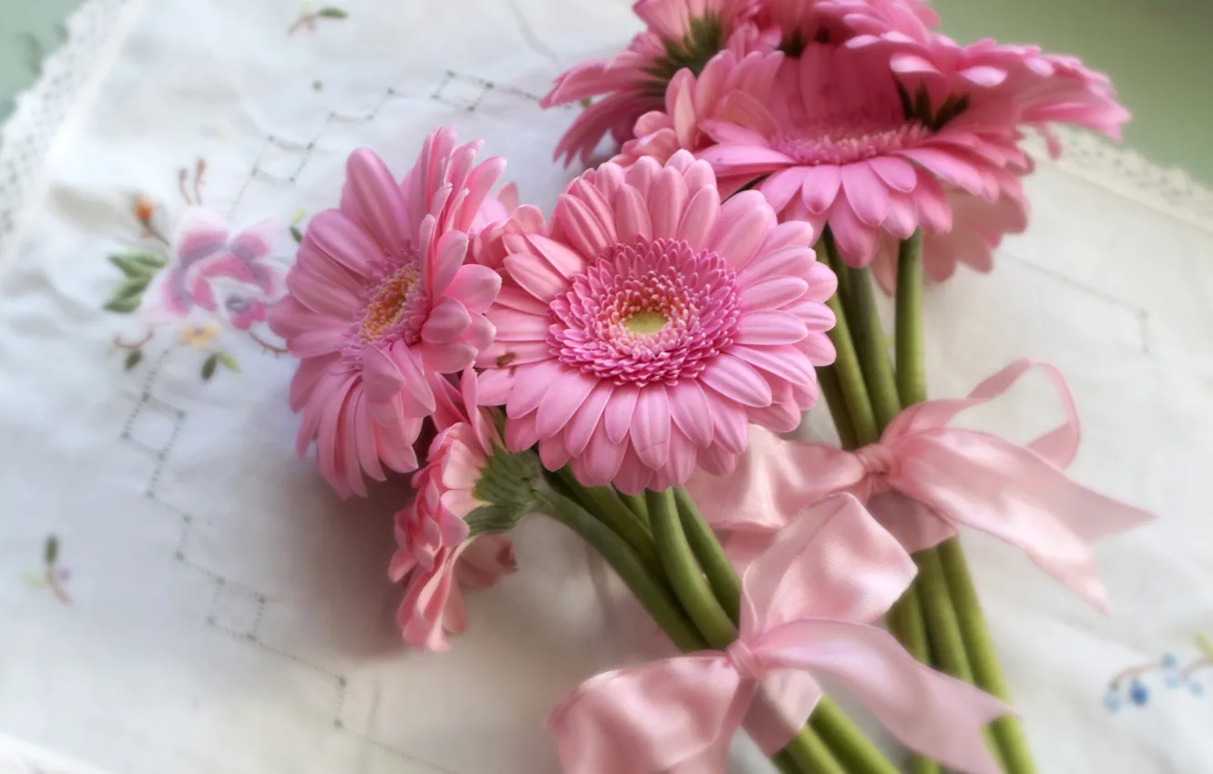 Фото обои Pink, лента, розовые, бант, герберы, Gerberas