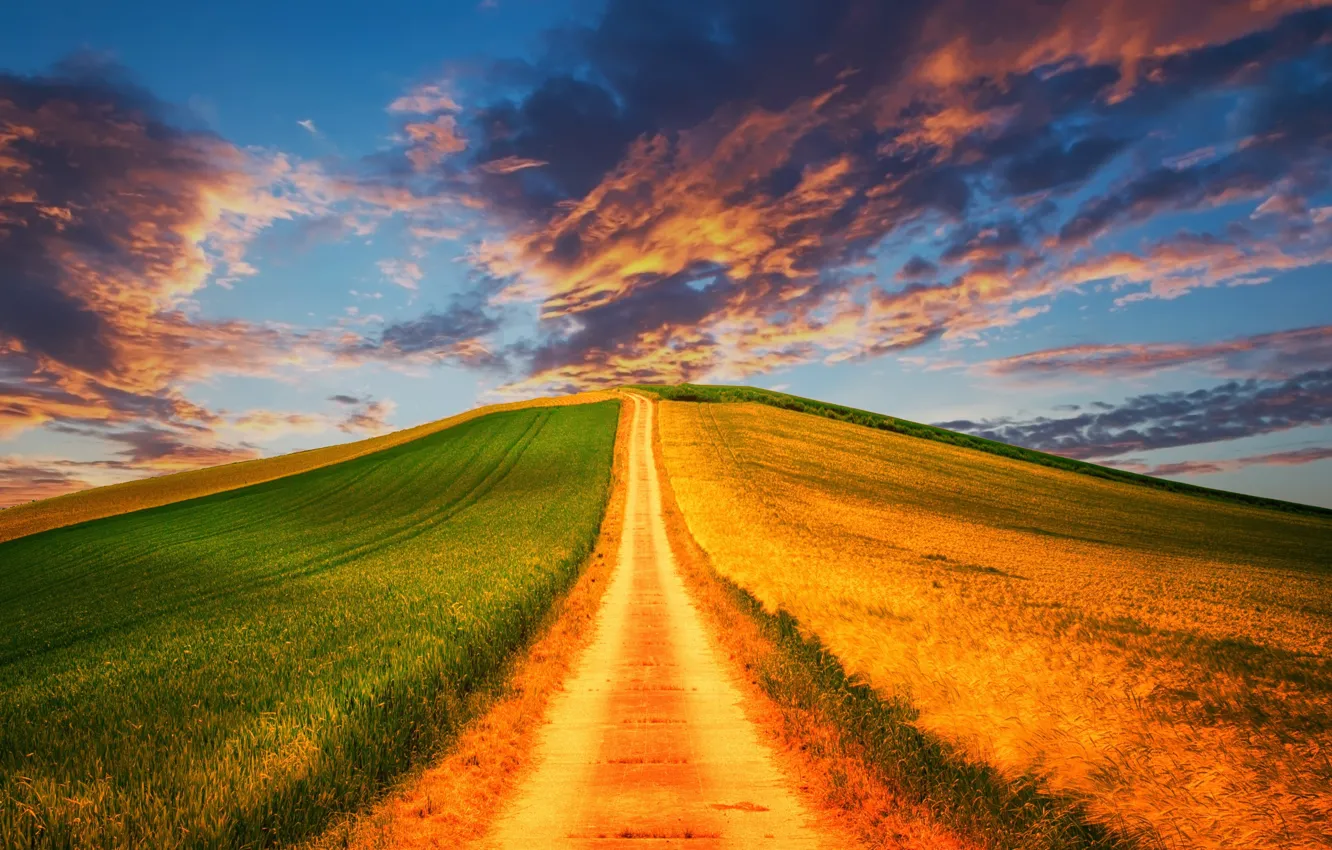 Фото обои wallpaper, Nature, Road, Scenery, Field, Graphics, Proselochnaya