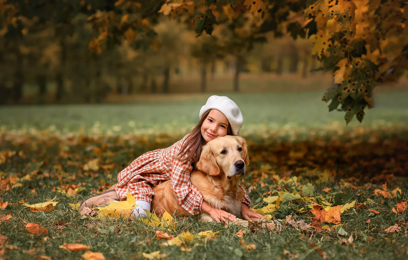 Фото обои осень, природа, парк, собака, девочка, ребёнок, пёс, ретривер