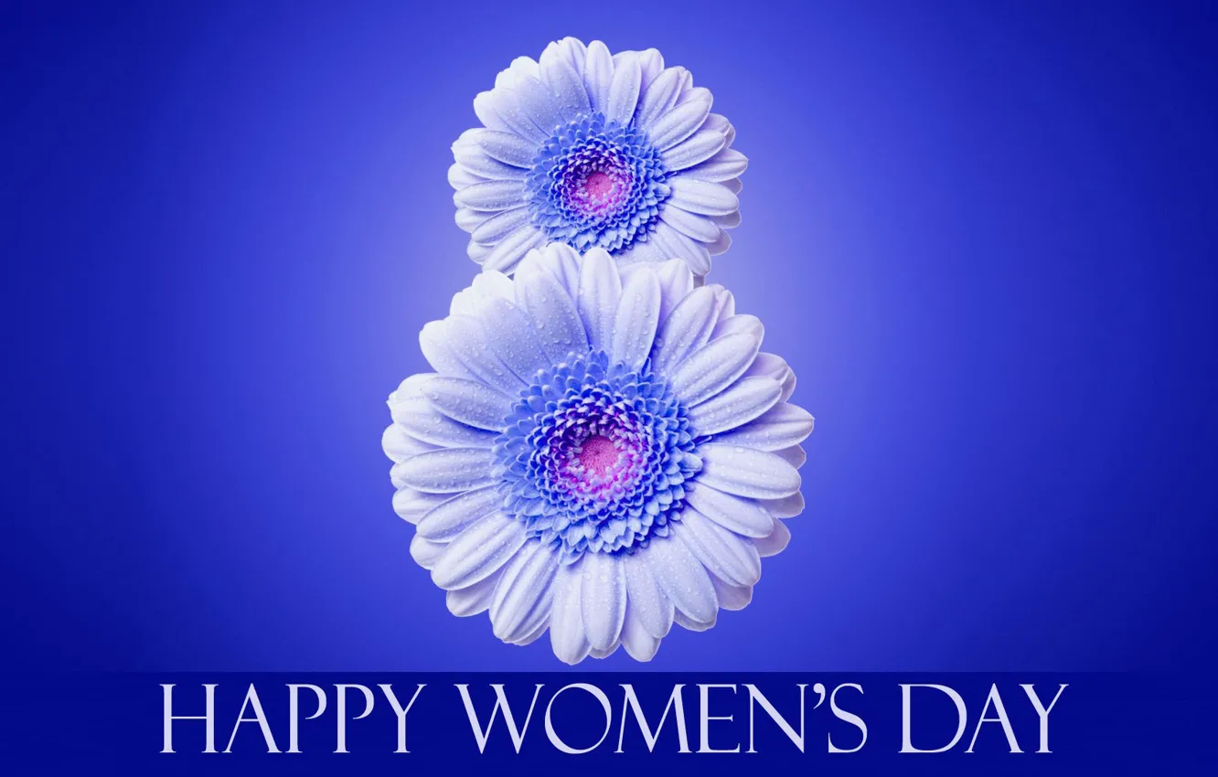 Фото обои цветы, надпись, 8 марта, синий фон, международный женский день