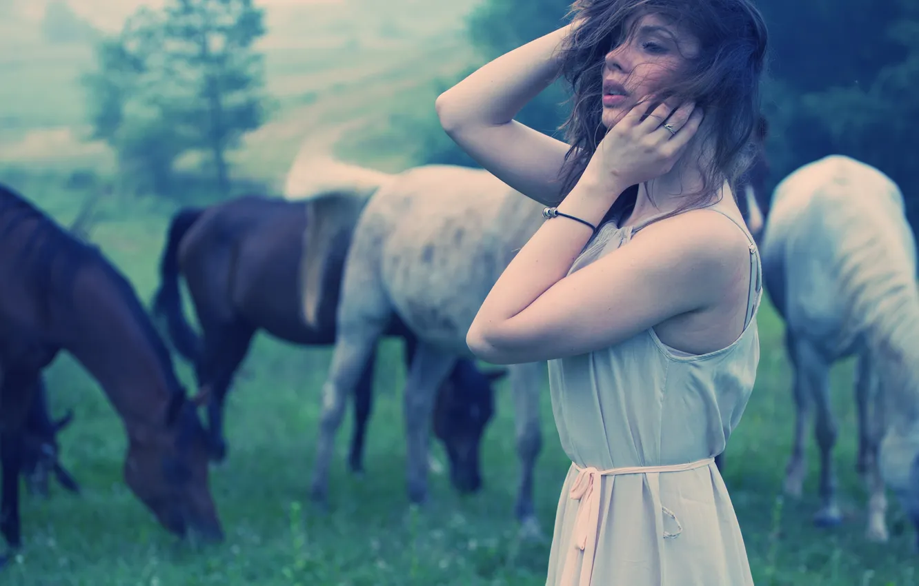 Фото обои зелень, девушка, ветер, лошади, шатенка
