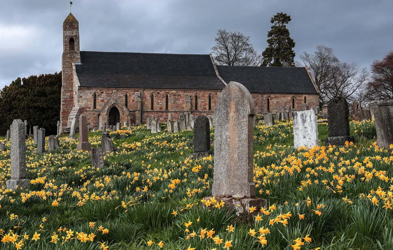 Фото обои цветы, камни, весна, церковь, кладбище, надгробия, старое, архитектура