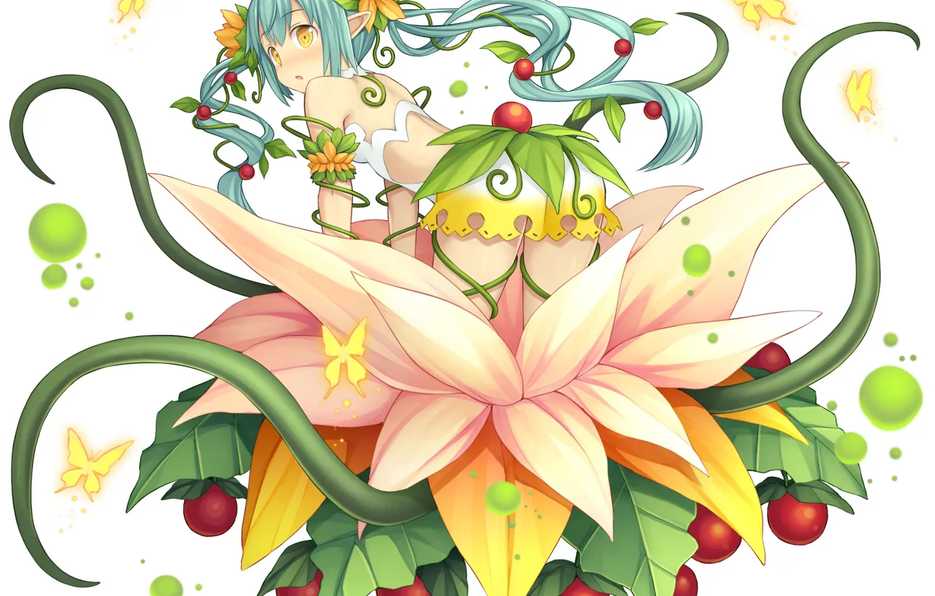 Фото обои Девушка, Цветок, Растение, Monmusu Harem