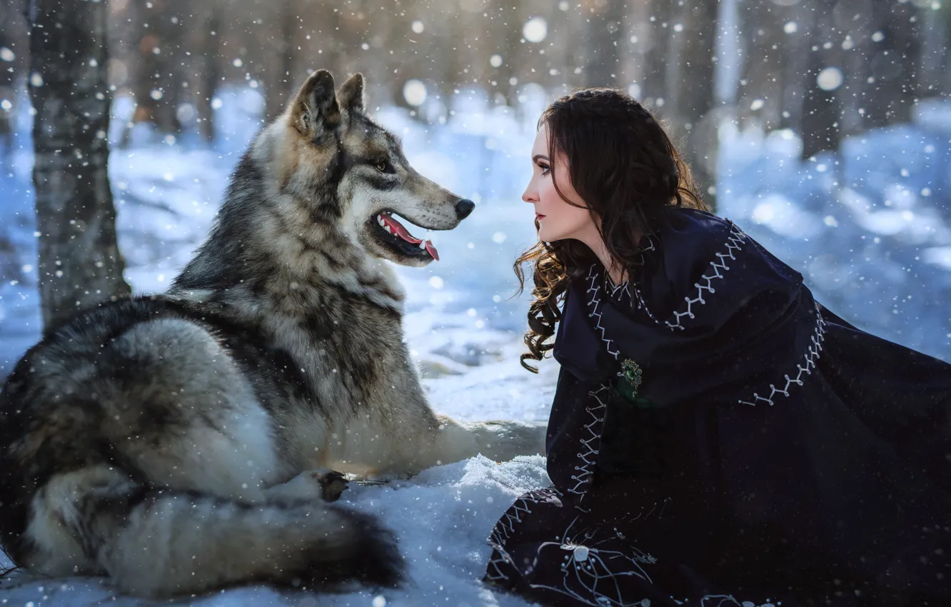 Фото обои зима, лес, язык, фиолетовый, девушка, снег, деревья, серый