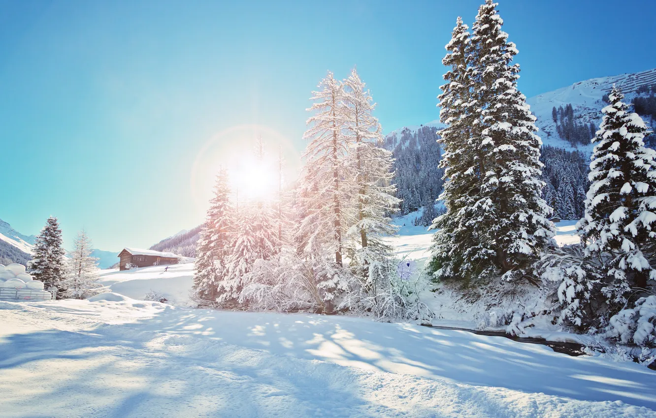 Фото обои зима, снег, деревья, хижина