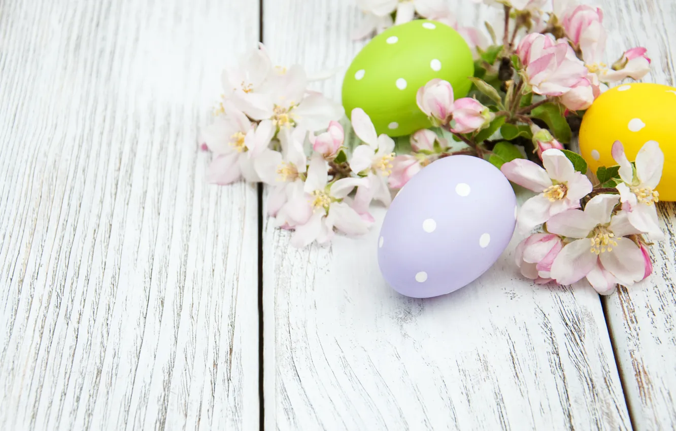 Фото обои цветы, яйца, весна, colorful, Пасха, happy, wood, blossom