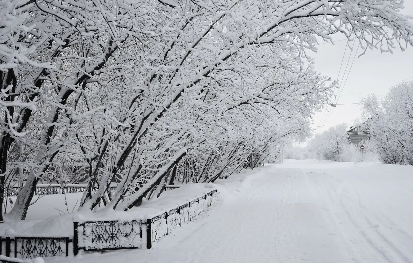 Фото обои зима, снег, город