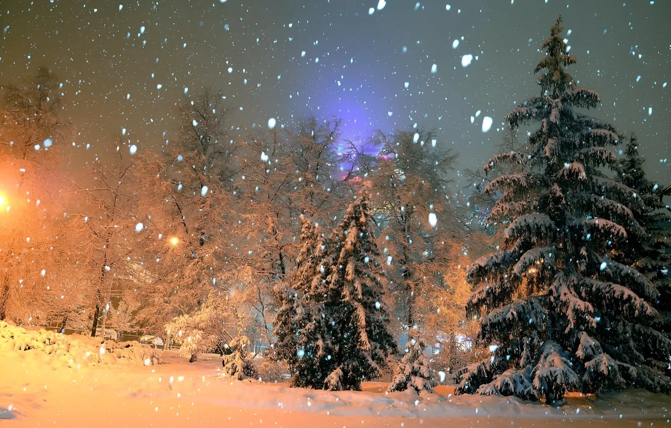 Фото обои Природа, Снег, Nature, Snow, Зимний Лес, Winter Forest