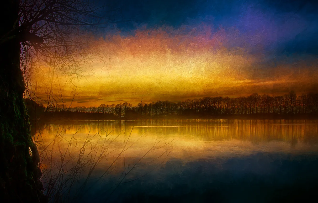 Фото обои небо, деревья, озеро, текстура