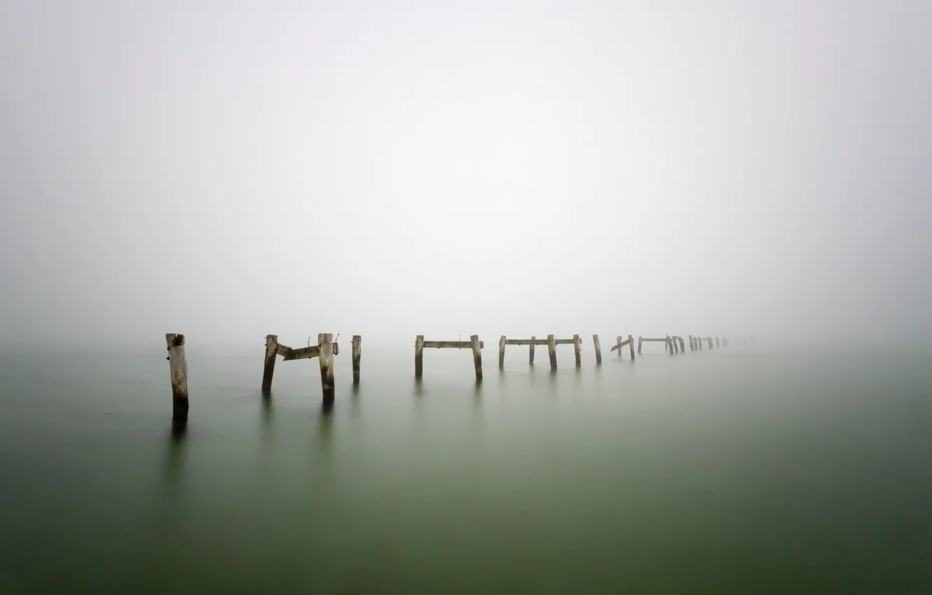 Фото обои туман, озеро, дерево, столбы, wood, lake, fog, pillars
